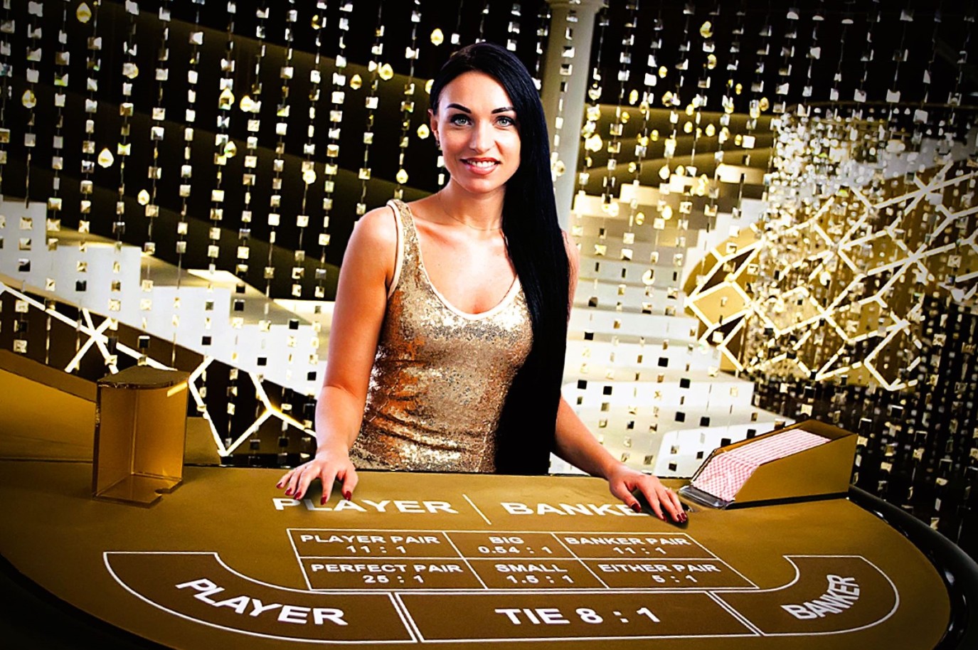 Indibet Analysis of Speed Baccarat Trends in Live Casino Online Play